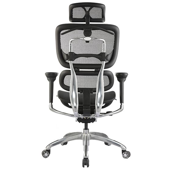 ERGO-1H-back-view